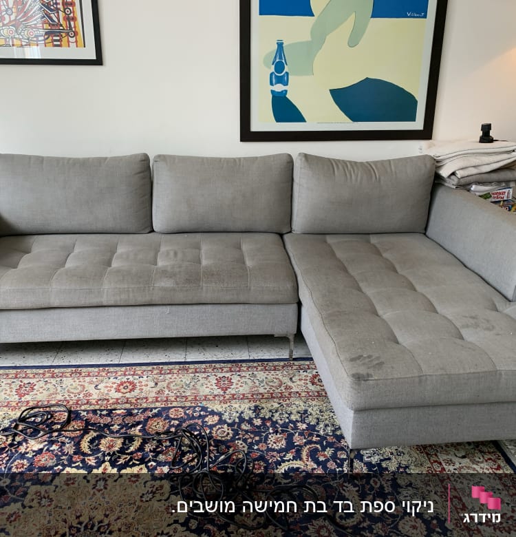 ספה אפורה עם כתמים על השזלונג